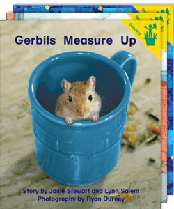 The Emergent Collection