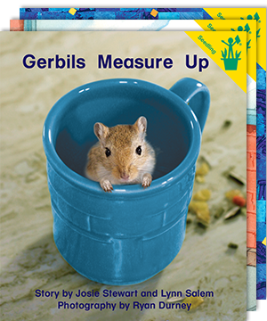 The Emergent Collection