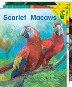 The Fluent Collection