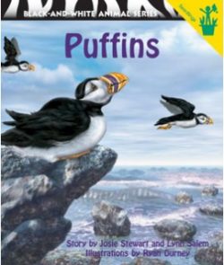 Puffins Seedling Reader Cover