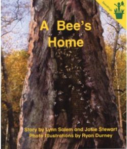 A Bee's Home Seedling Reader Cover