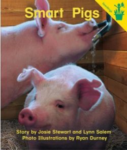 Smart Pigs Seedling Reader Cover