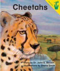 Cheetahs Seedling Reader Cover