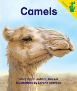 Camels Seedling Reader Cover