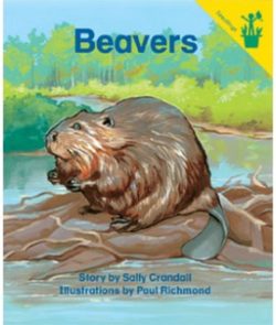 Beavers Seedling Reader Cover