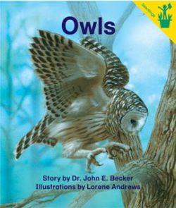 Owls Seedling Reader Cover