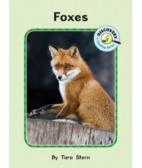 Foxes Discovery Reader