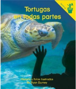 Tortugas en todas partes Seedling Reader Cover