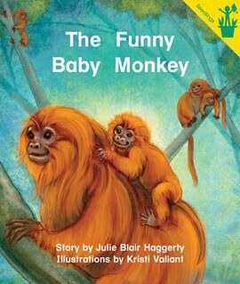 The Funny Baby Monkey Continental