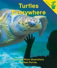 Turtles Everywhere Seedling Reader Cover