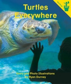 Turtles Everywhere Seedling Reader Cover