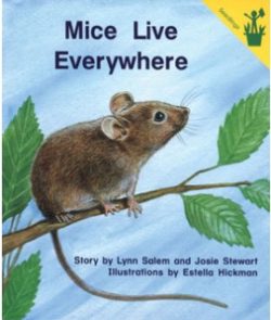 mice live everywhere