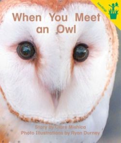 When You Meet an Owl Seedling Reader Cover