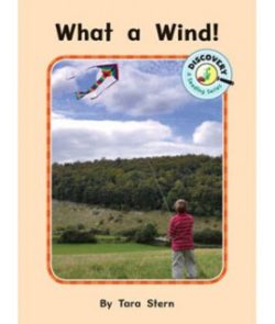 What a Wind! Seedling Reader Cover