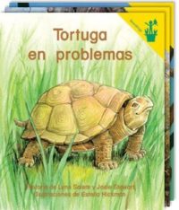 Spanish Readers Collection - Grades K-2 - Classroom Library