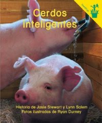 Cerdos inteligentes Seedling Reader