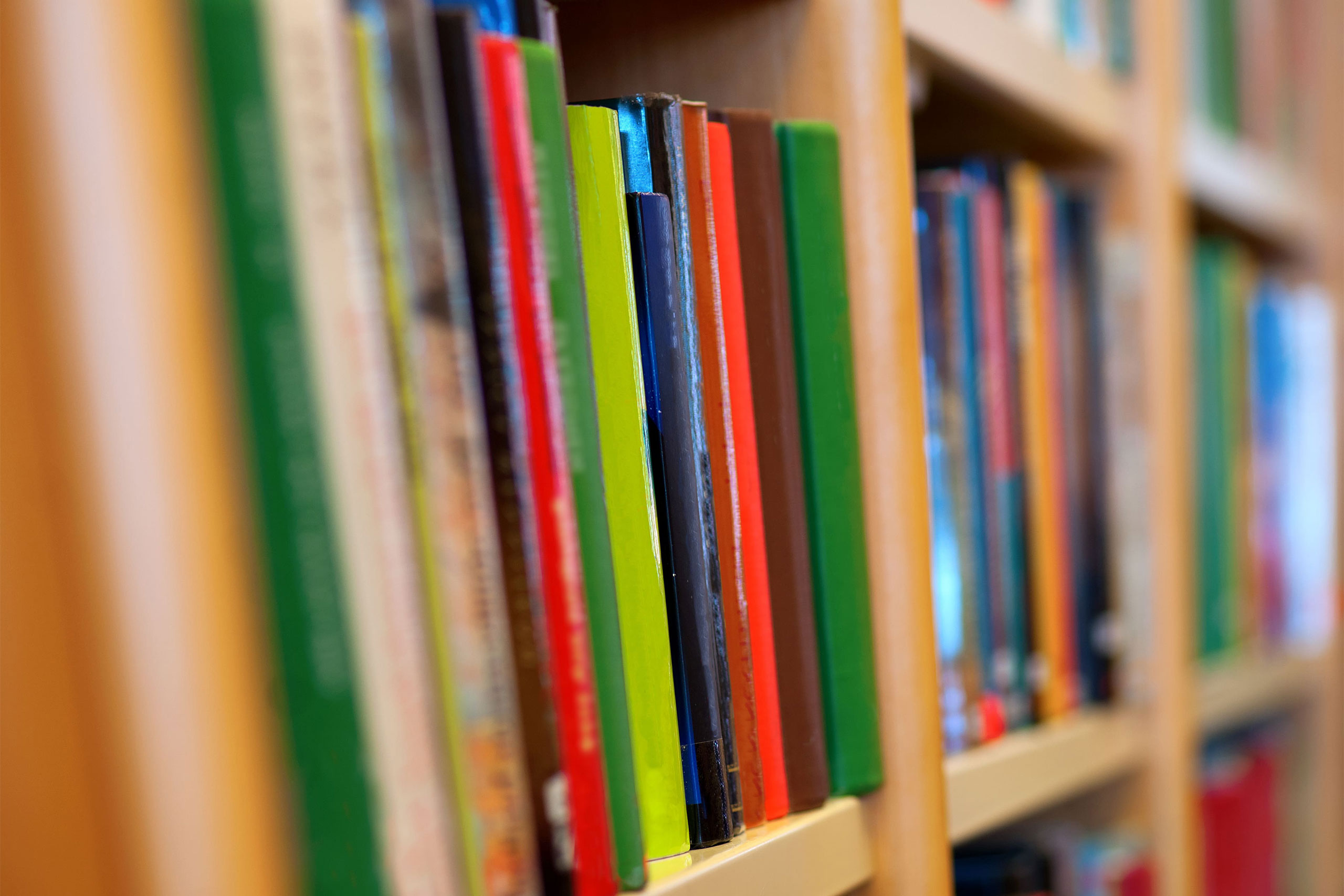A close-up image of books on a bookcase.